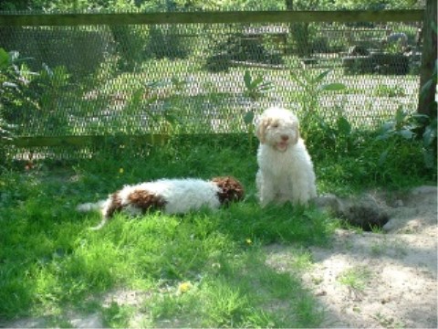 Benito und Bibiana